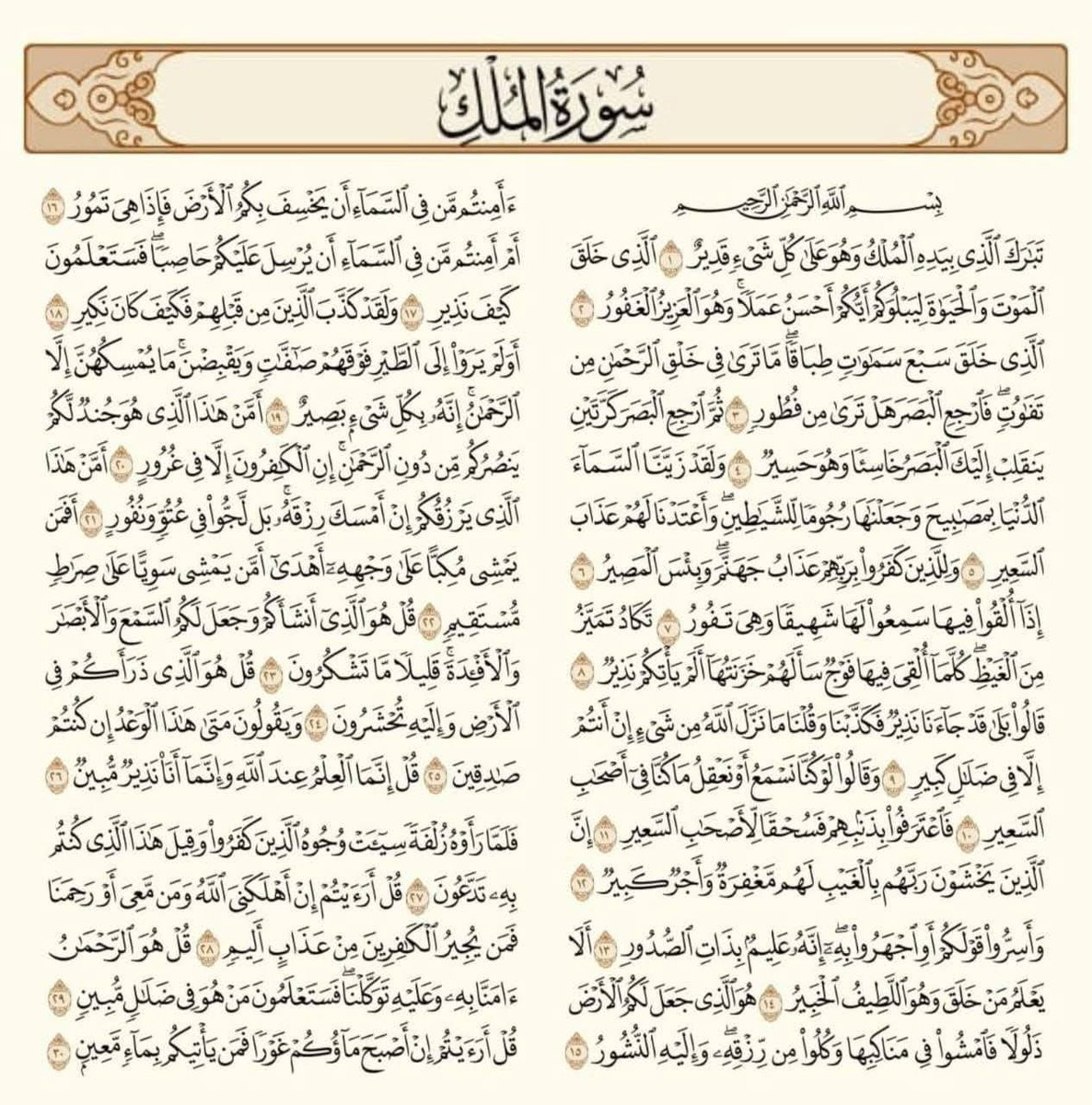 -لعلها تكون المنجيه -