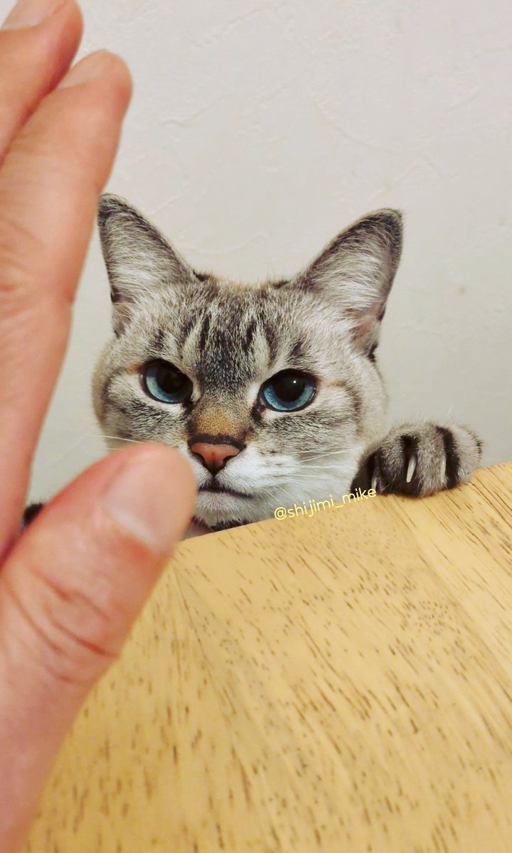 佐藤照雄 (@teruosatou) / Posts / X