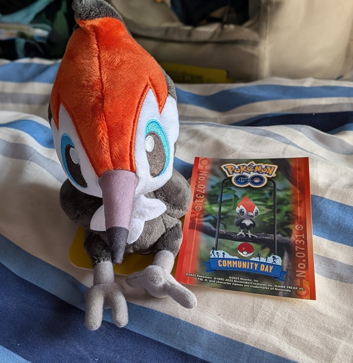 おはようございます🌤️
本日は🐦‍⬛ツツケラコミュデイ🐦‍⬛
色違い❓️高個体❓️どうかなぁ🤔
天候も良き楽しみましょう🤗
相変わらずの上野公園へ🐼