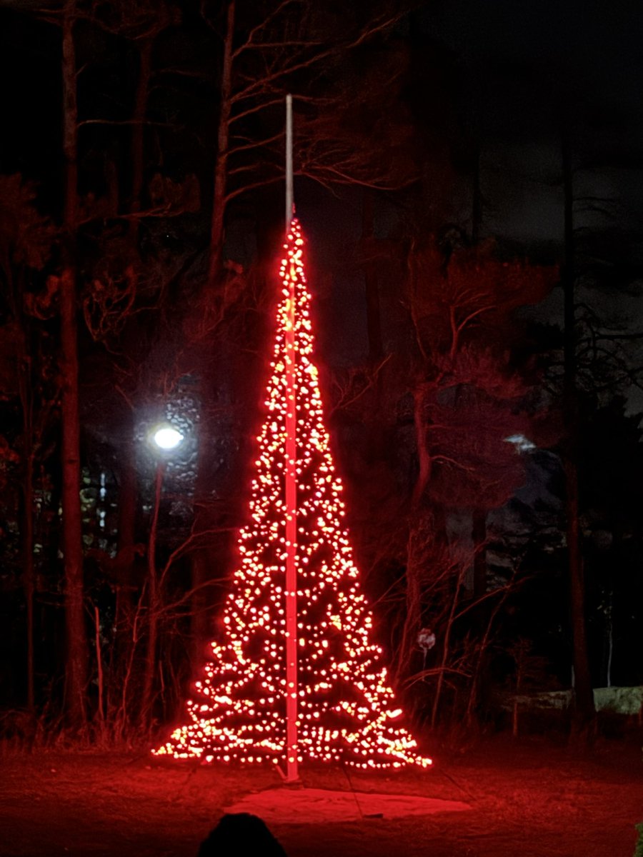 DVdZ2🇨🇦 tweet media