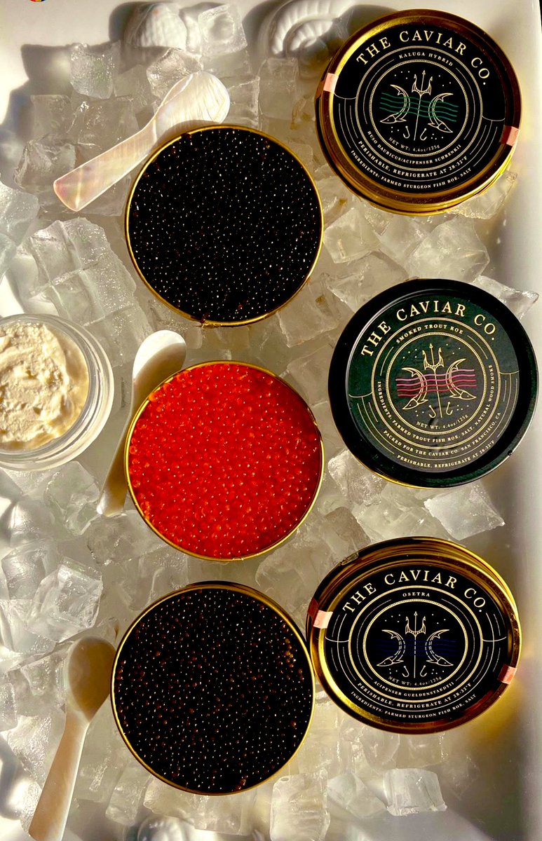 It’s beginning to look like the most wonderful time of the year…