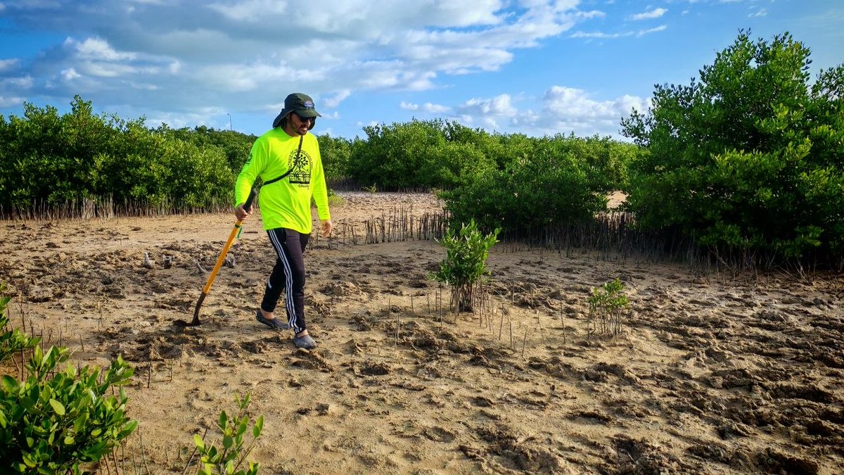 HazRuidoYuc's tweet image. Suman manos para restaurar los #manglares de #Progreso

Con estas acciones de los voluntarios, están mitigando gases de efecto invernadero hazruido.mx/principales/su…