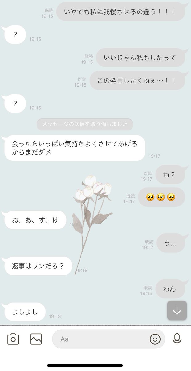 mas9201's tweet image. 付き合ったばっかの頃の彼くんドSすぎるから見てくれ…