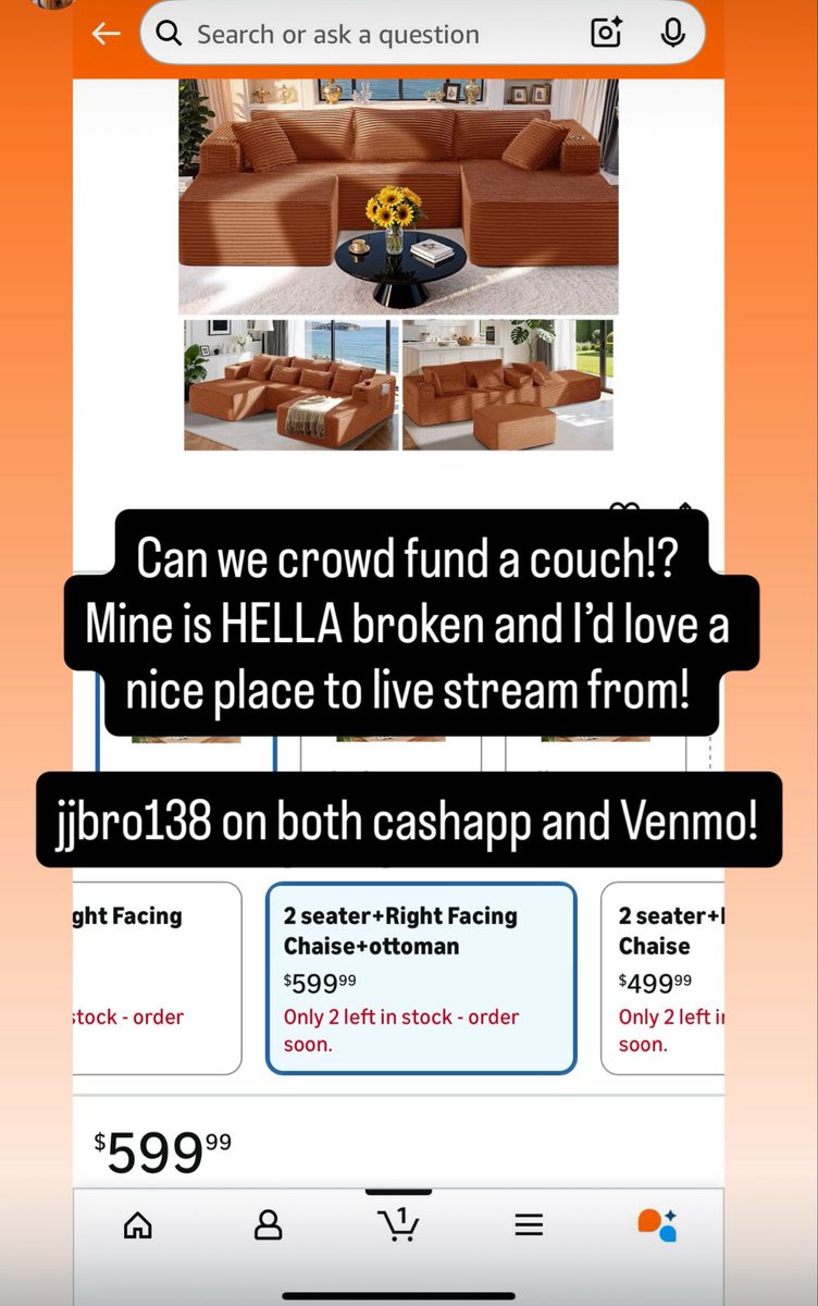 Wanna pitch in on helping me get a new couch?