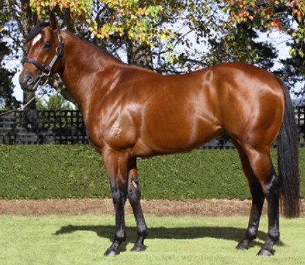 Another strong weekend for Tassie based stallions!

Alpine Eagle strikes again with Platinum Goddess in NZ 
Master Of Design scores at Ceduna with Master Charlie
Squamosa (pictured) wins at Woolamai with Stewart
<a href="/BreedersTas/">Tasbreeders</a> <a href="/Broadmarsh_Stud/">Broadmarsh Stud</a> <a href="/Armidale_Stud/">Armidale Stud</a>