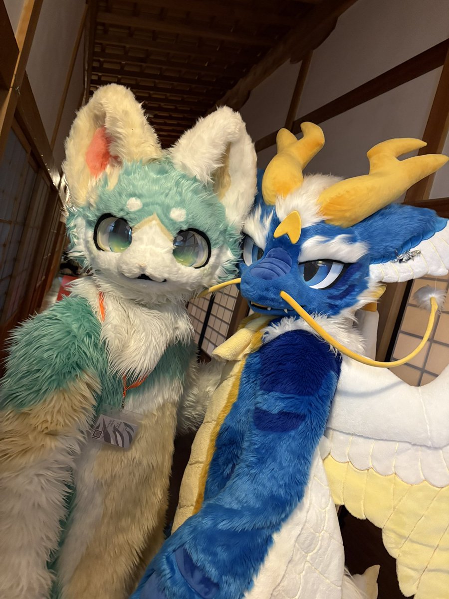 可愛い子いた！
#寺もふ