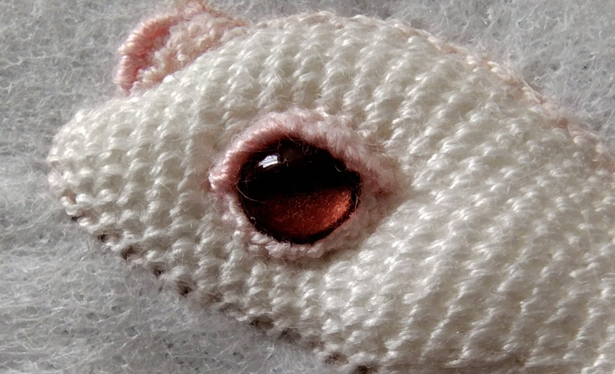 美人な子が出来そう