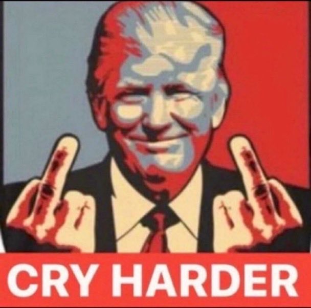 DDBall4life's tweet image. 