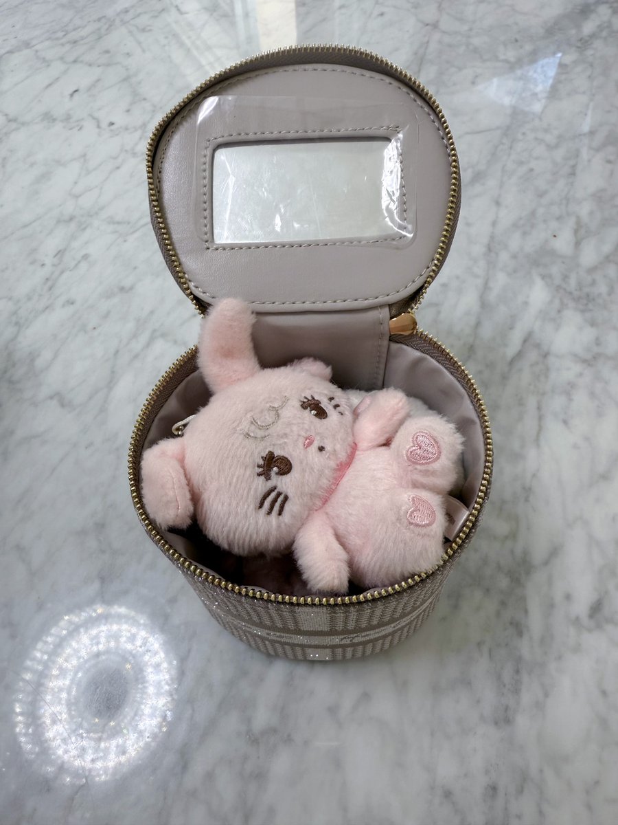 aa_chan37's tweet image. HLT Jacquard Mini Vanity Bagのnude pink🎀♡ 新作ミニバニティと引用写真のハートクリップかわいい🫶🏻 こちらは、サイズ感違うバージョン💫 mikkoのガチャぬいが3つはいる大きさです❕参考になりますように💘 

#Herlipto  #mikko