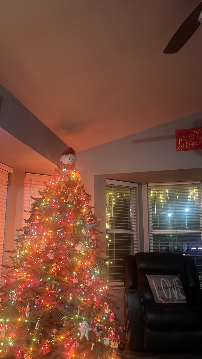 Day 20 of #VPHSgratitude I’m thankful that we got to decorate for Christmas this weekend. It brings me a lot of joy and puts me in the Christmas mood. <a href="/vphsleadership/">Valley Park Leadership Program</a>