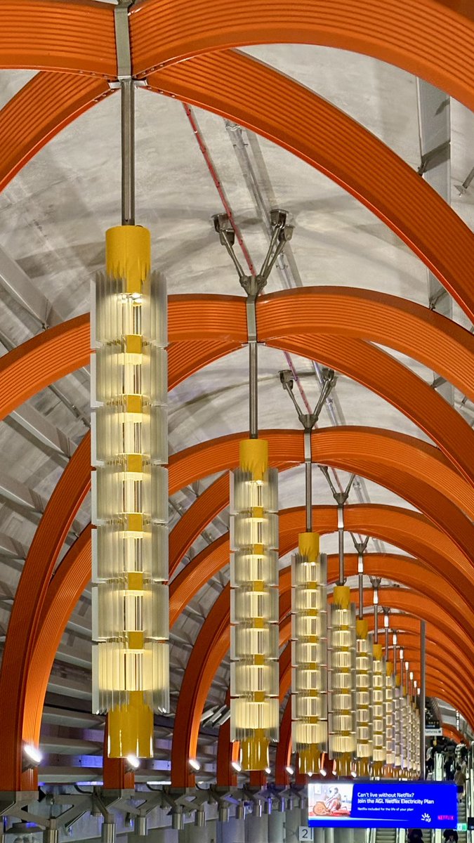 Gene Saraçi tweet media