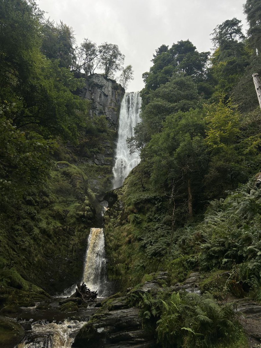 lucyyflutter's tweet image. This place... wow. Felt like the world paused for a minute.