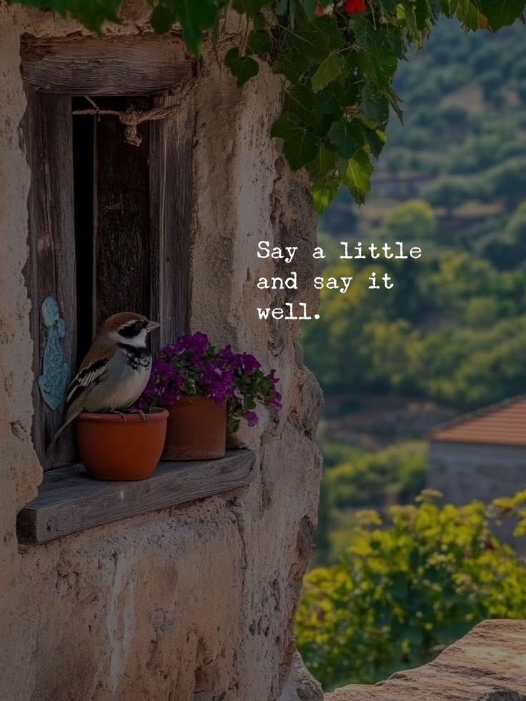 Say a little and say it well....