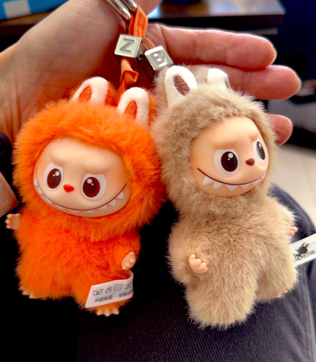 息子のために買ったラブブ。 発送1ヶ月待ちだったラブブ。 今朝届いた