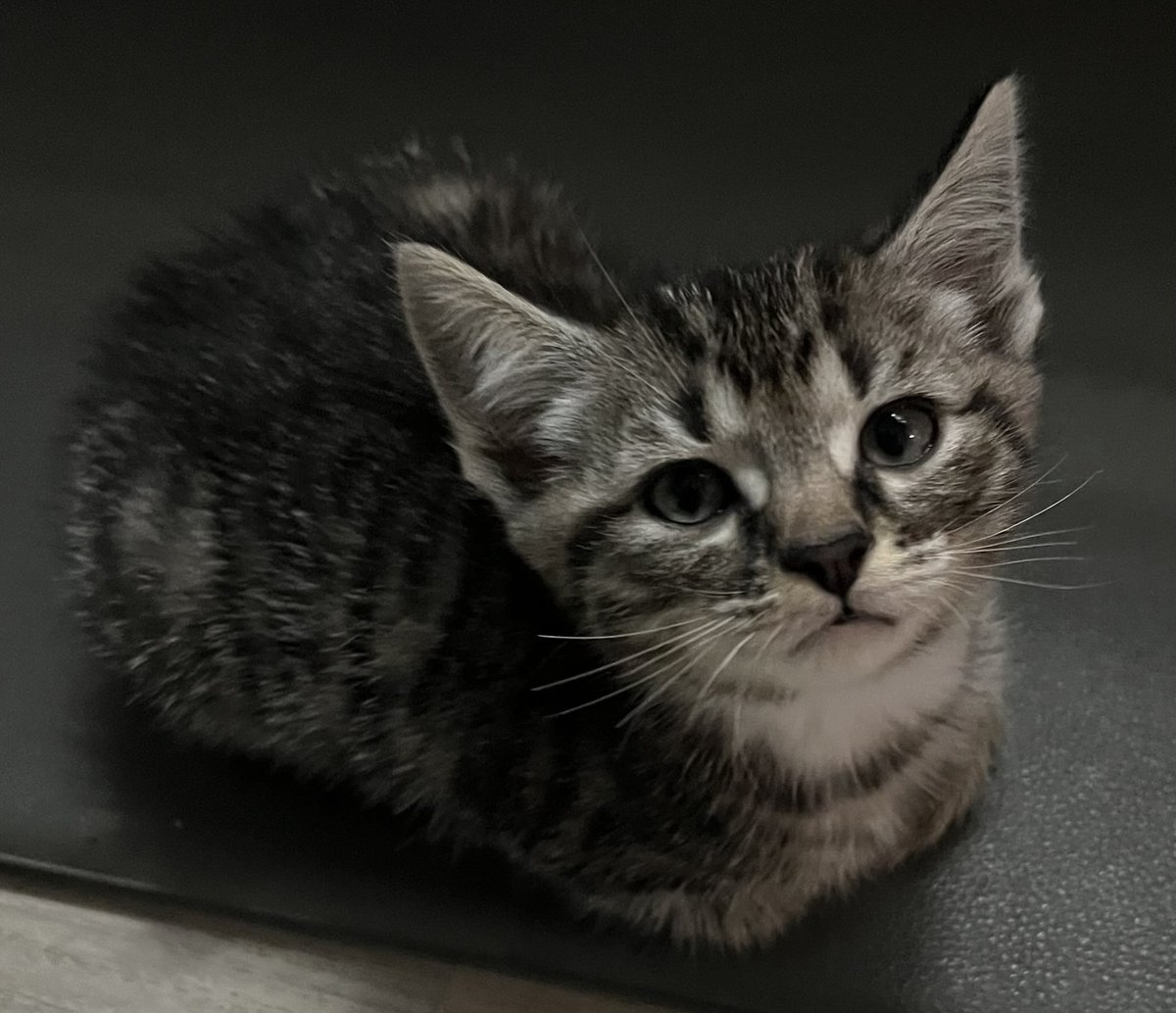 ticweb3's tweet image. Who’s active on Saturday?