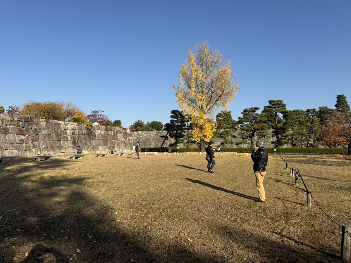 jfalconry's tweet photo. 良い天気ですね
鷹匠たちは朝から鷹の状態を確認しています https://t.co/k7odSrAi2S