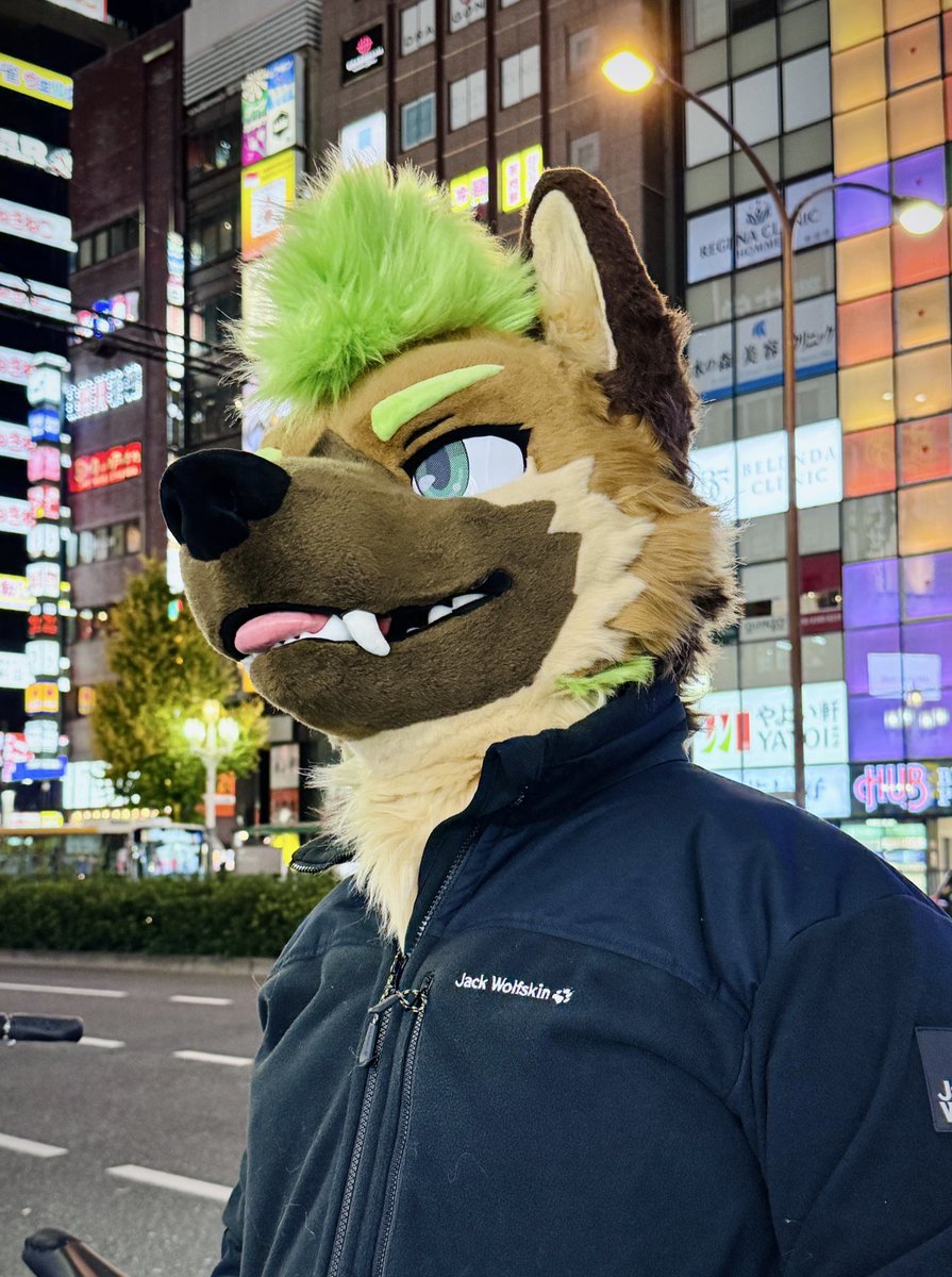 Sequoia 🌲 tweet media