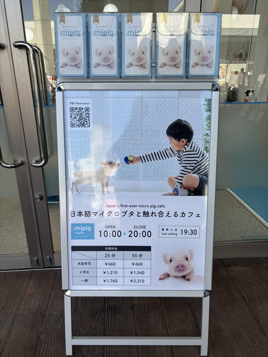 gpz900ringo's tweet photo. 宇都宮市のインターパークビレッジに、
ミニブタカフェあった！ https://t.co/qipYc5EQpf
