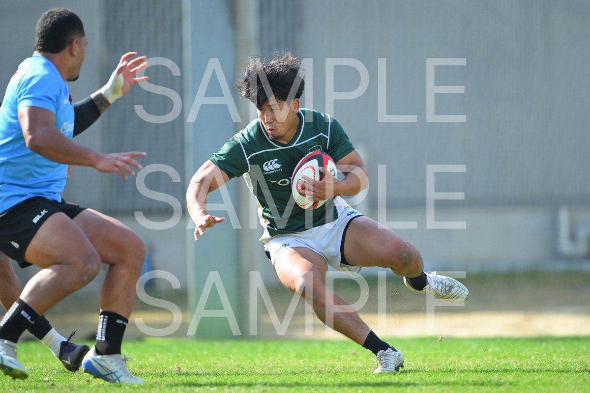 トヨタヴェルブリッツ TOYOTA VERBLITZ (@toyotaverblitz) / Posts / X