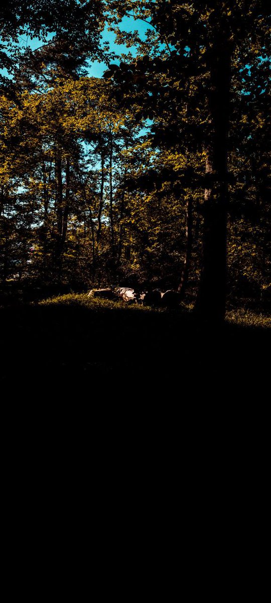 MatrixM72's tweet image. Exploring the future of decentralized innovation with Psy Protocol. Join the movement 👉 @PsyProtocol  #PsyProtocol  $PsyProtocol