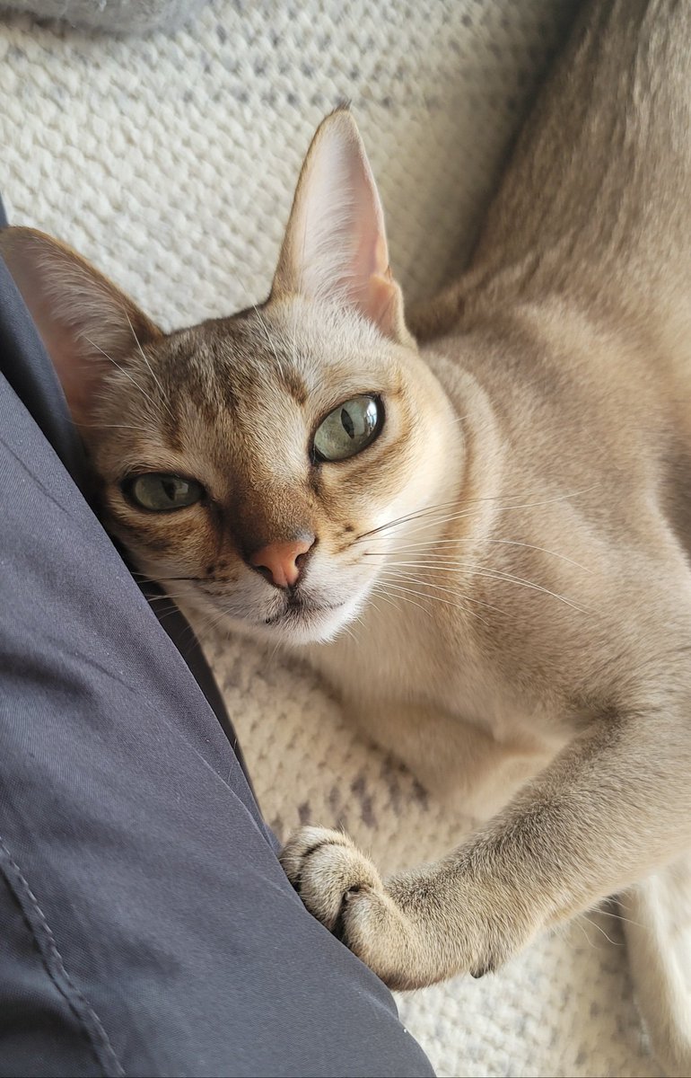 きのこ🤍Liyuu Thankful｜Anniversary 5⃣鯉友 (@ki_nokko) / Posts / X