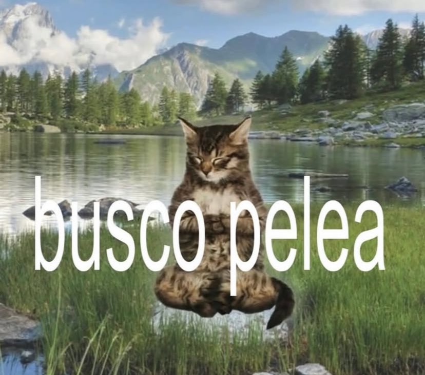 kiereme's tweet image. 