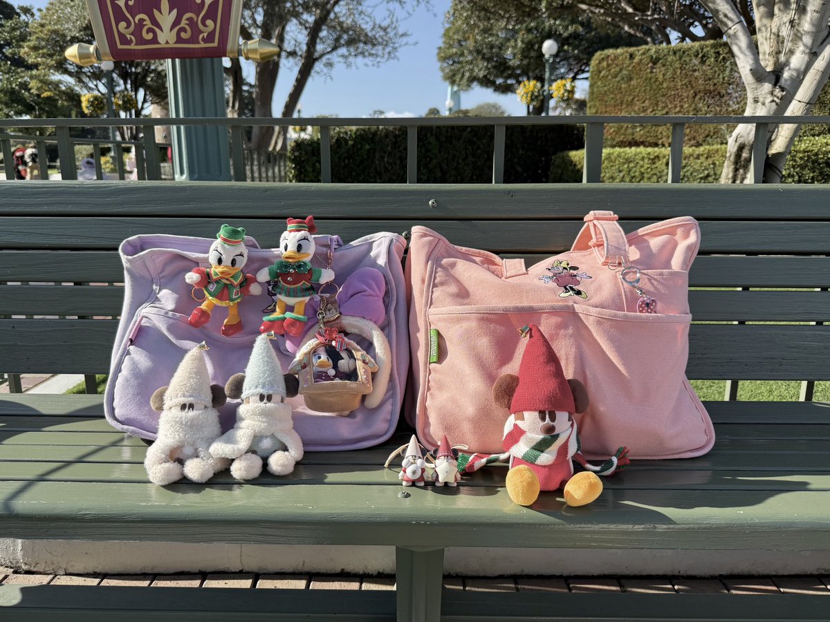 朝イチにワッフル食べました🎄🧇
今日はベンチから見ます🤍