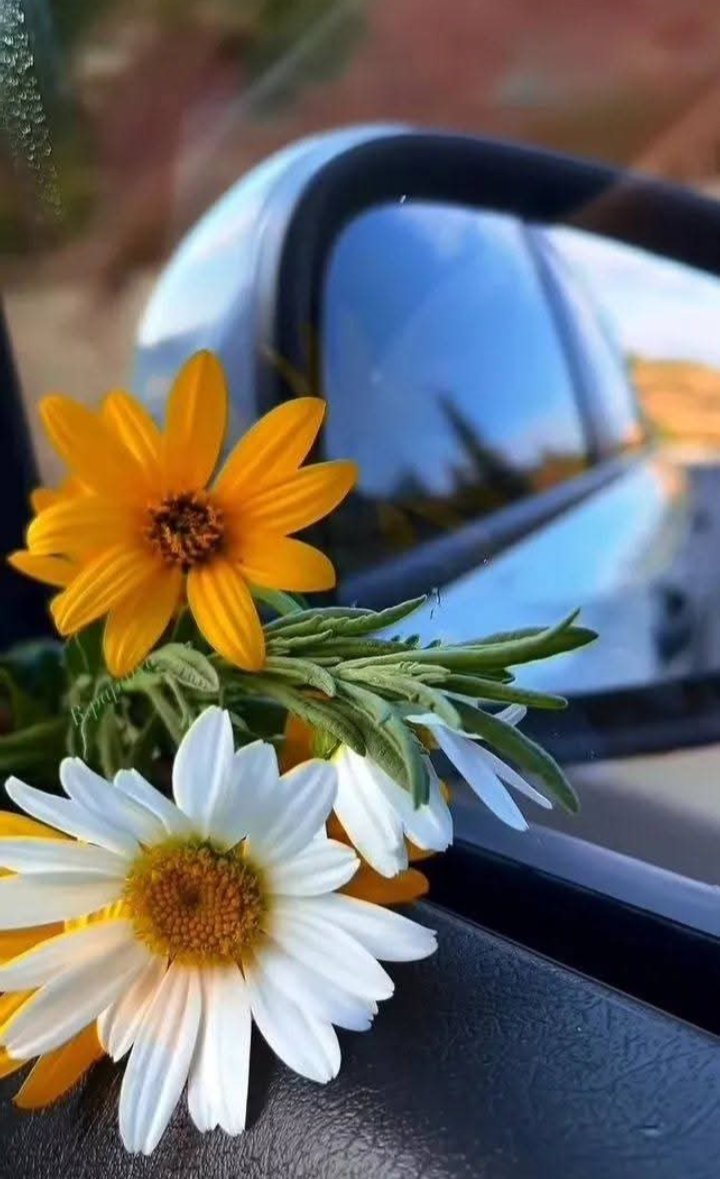 Şükredilerek uyanılan bir sabah,
günün hayrını çoğaltır.

"Elhamdülillâh Alâ Küllî Hâl"

Selâmün Aleyküm, Hayırlı Sabahlar