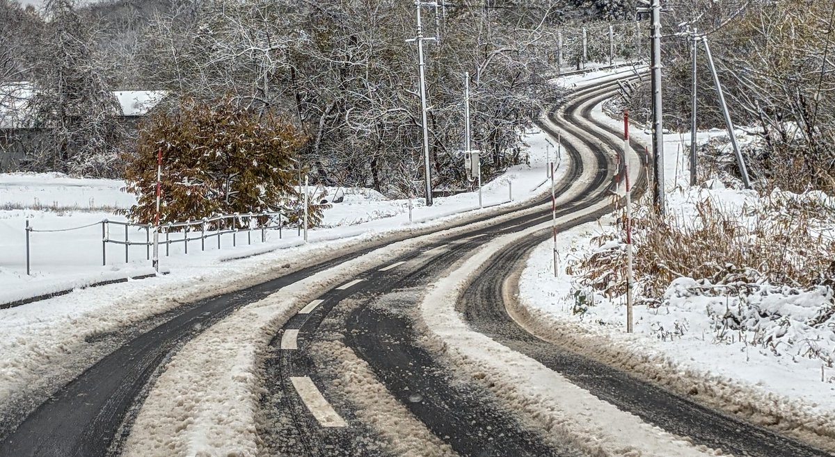 🍎elf🍏 (@dream__bike) / Posts / X