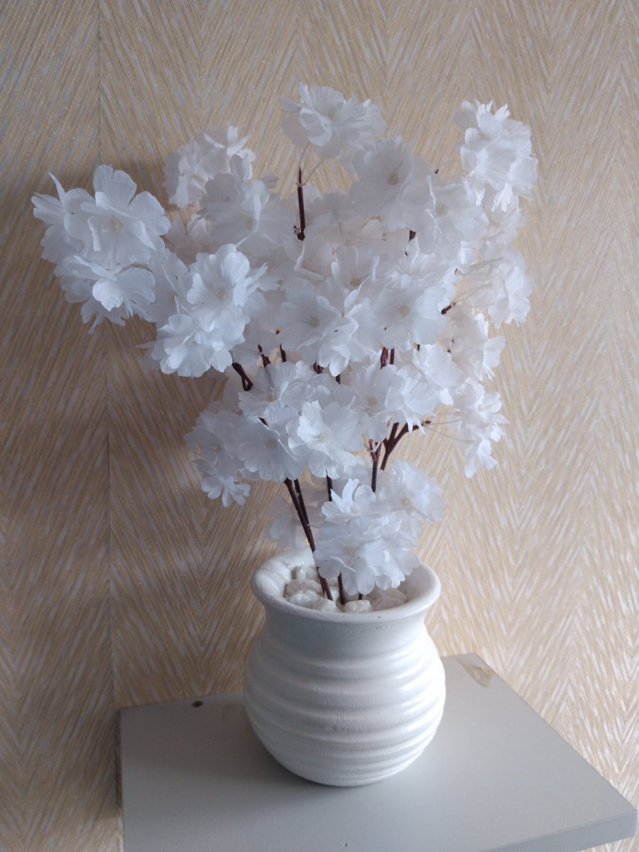 graphical_dan's tweet image. Good morning business twitter
Get this beautiful flowers from our shop at an affordable prices.
Call or whatsapp 0798375582
Delivery available country wide