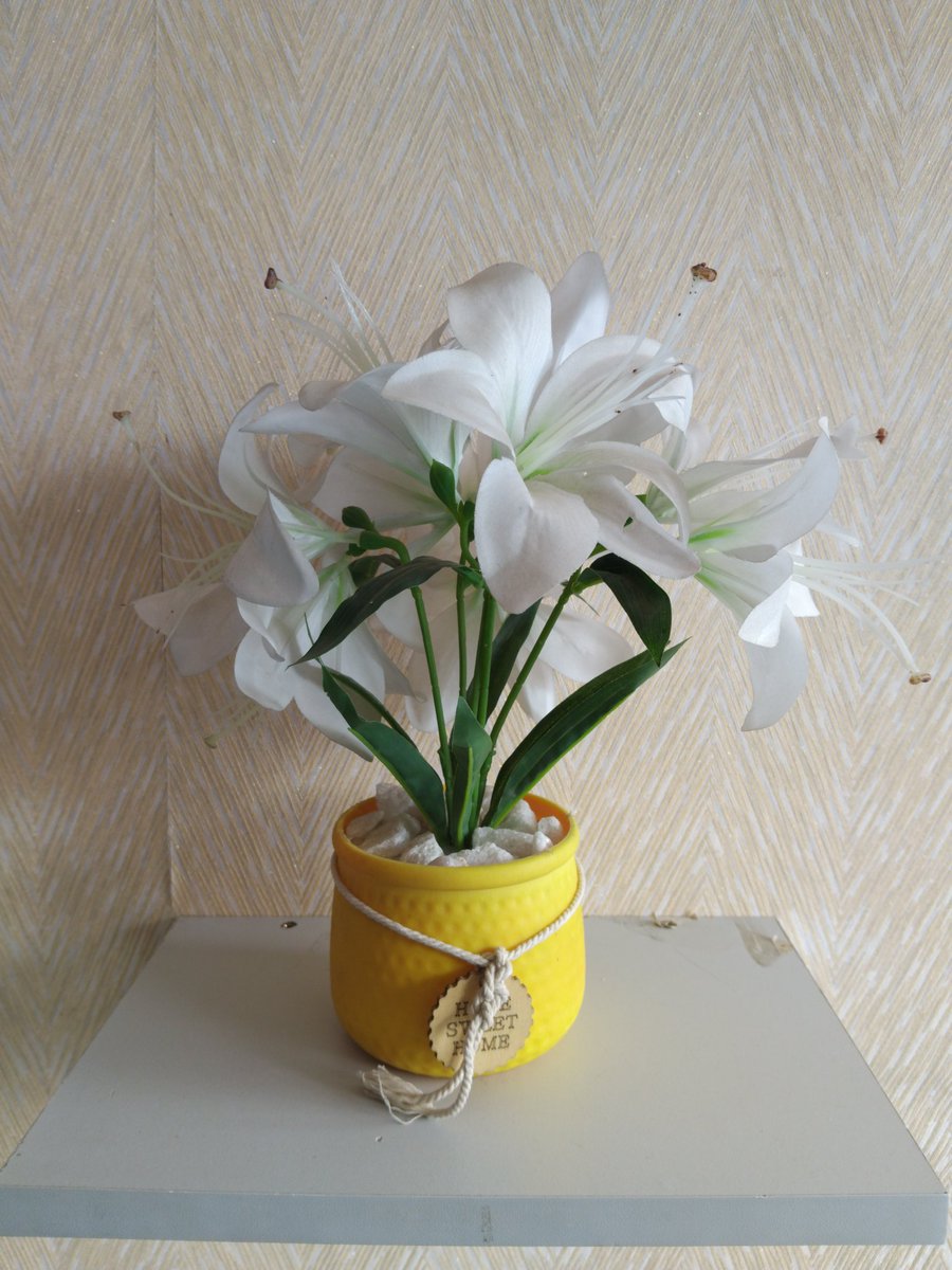 graphical_dan's tweet image. Good morning business twitter
Get this beautiful flowers from our shop at an affordable prices.
Call or whatsapp 0798375582
Delivery available country wide