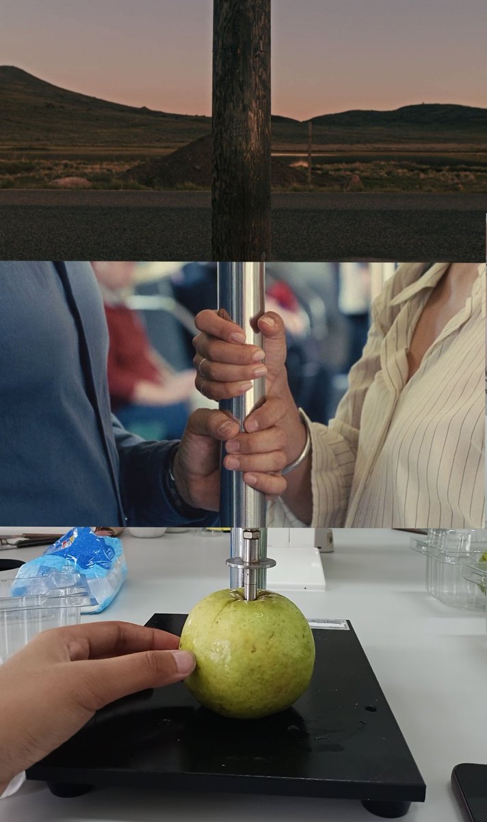 Hereditary (2018) / Past Lives (2023) / Penetrometer Jambu Edible Coating (2025)