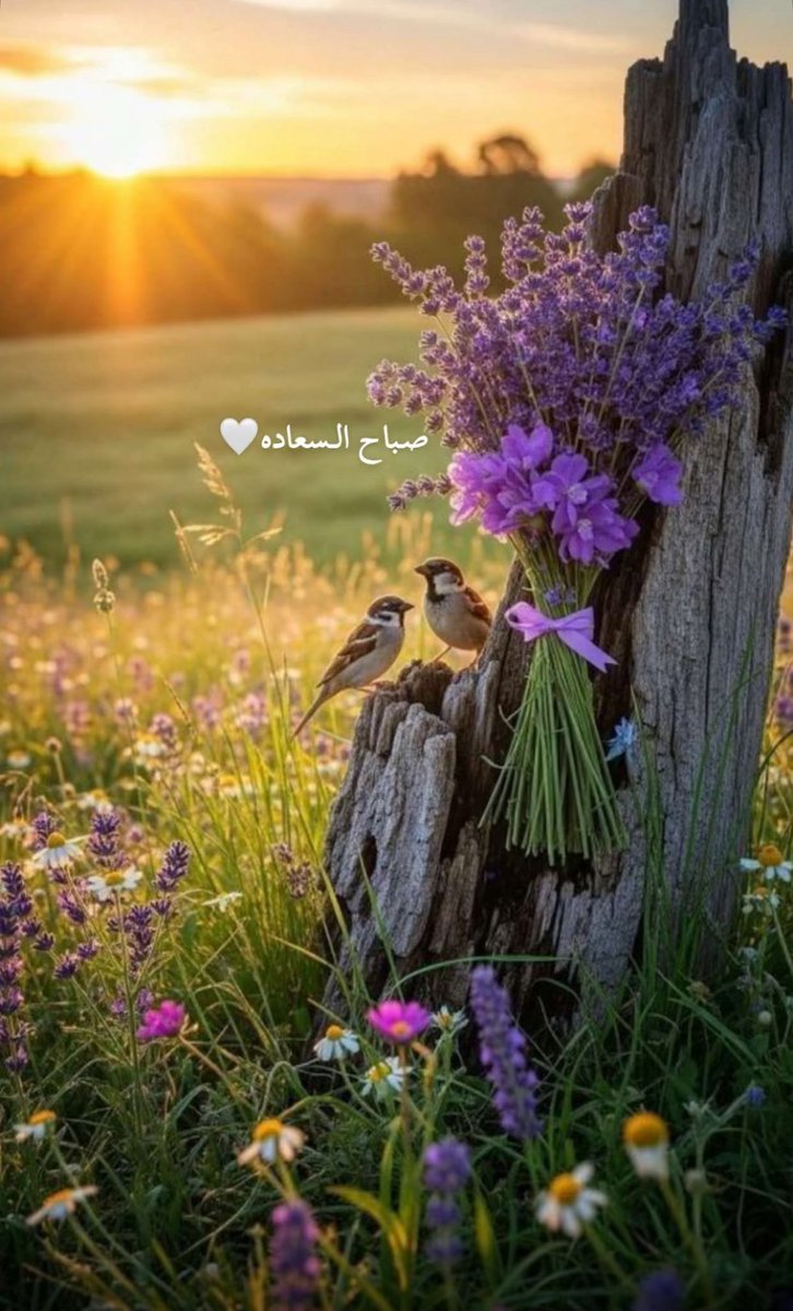 sso0dd's tweet image. صبااااااااااااااااااااح الخيررررررر