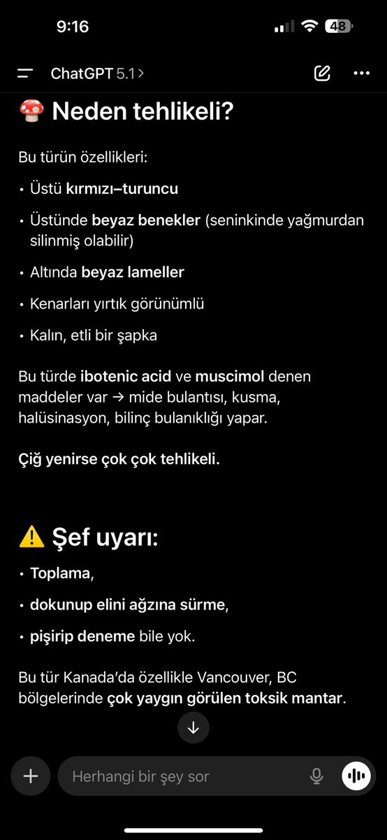 Alper Kara tweet media