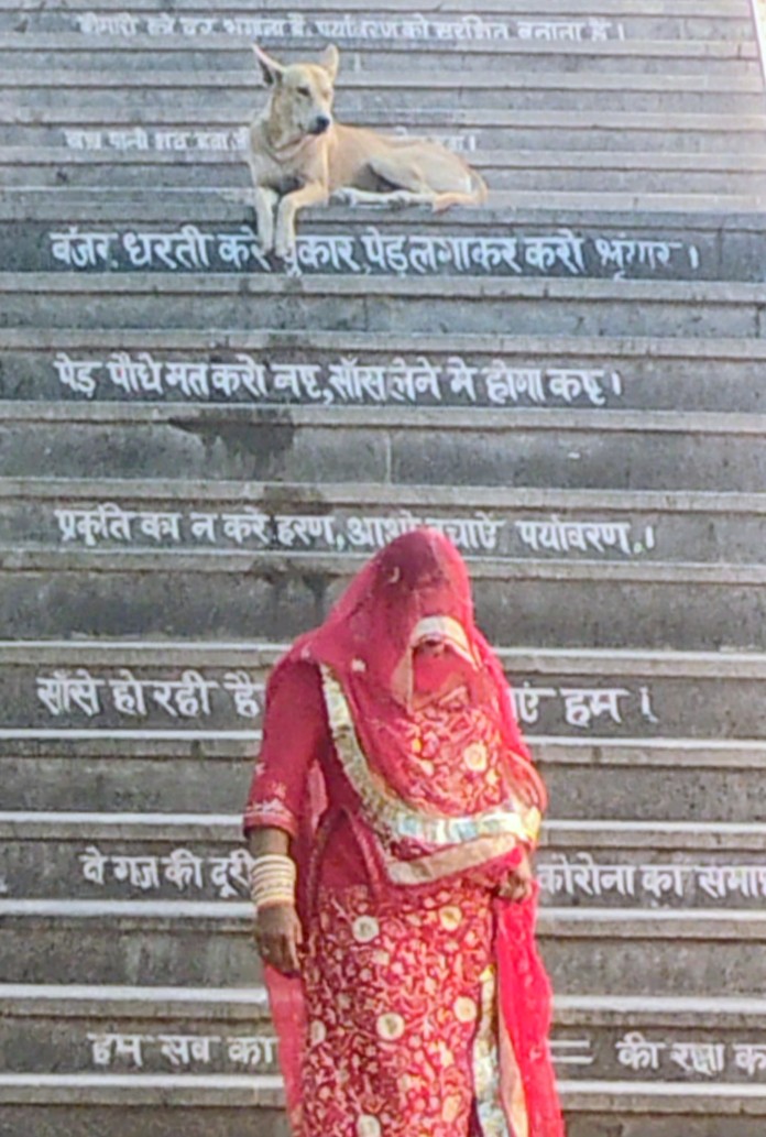 advanirajesh's tweet image. Gurgaon Railway Station 

#Dogs