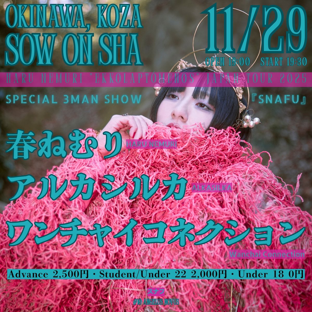 アルカシルカ (@alkasilka) / Posts / X