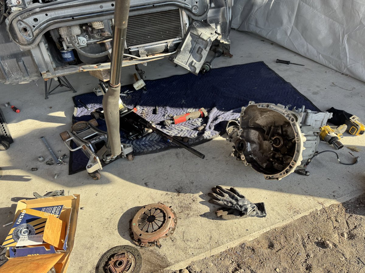 Maraさんのミラ
産まれました👏