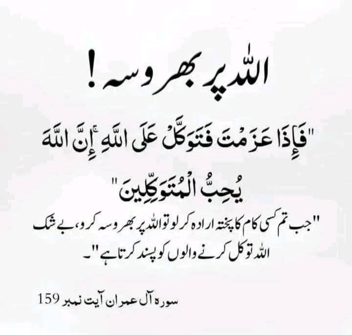 ✨ƓƠƠƊ ƓƖƦԼ✨ tweet media