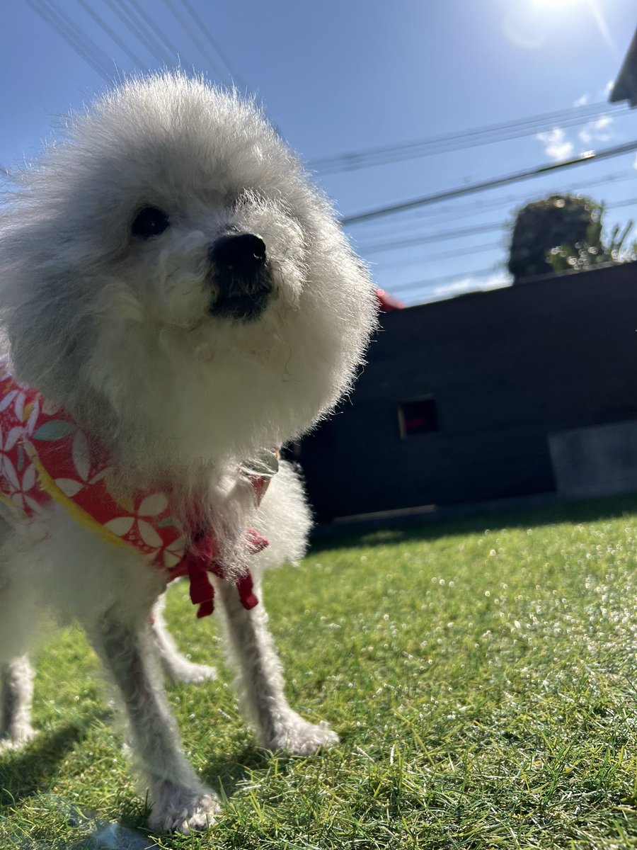 ハル様⭐専用ページ ハルくん (@9Z8lquSv8B3FMpN) / Posts / X