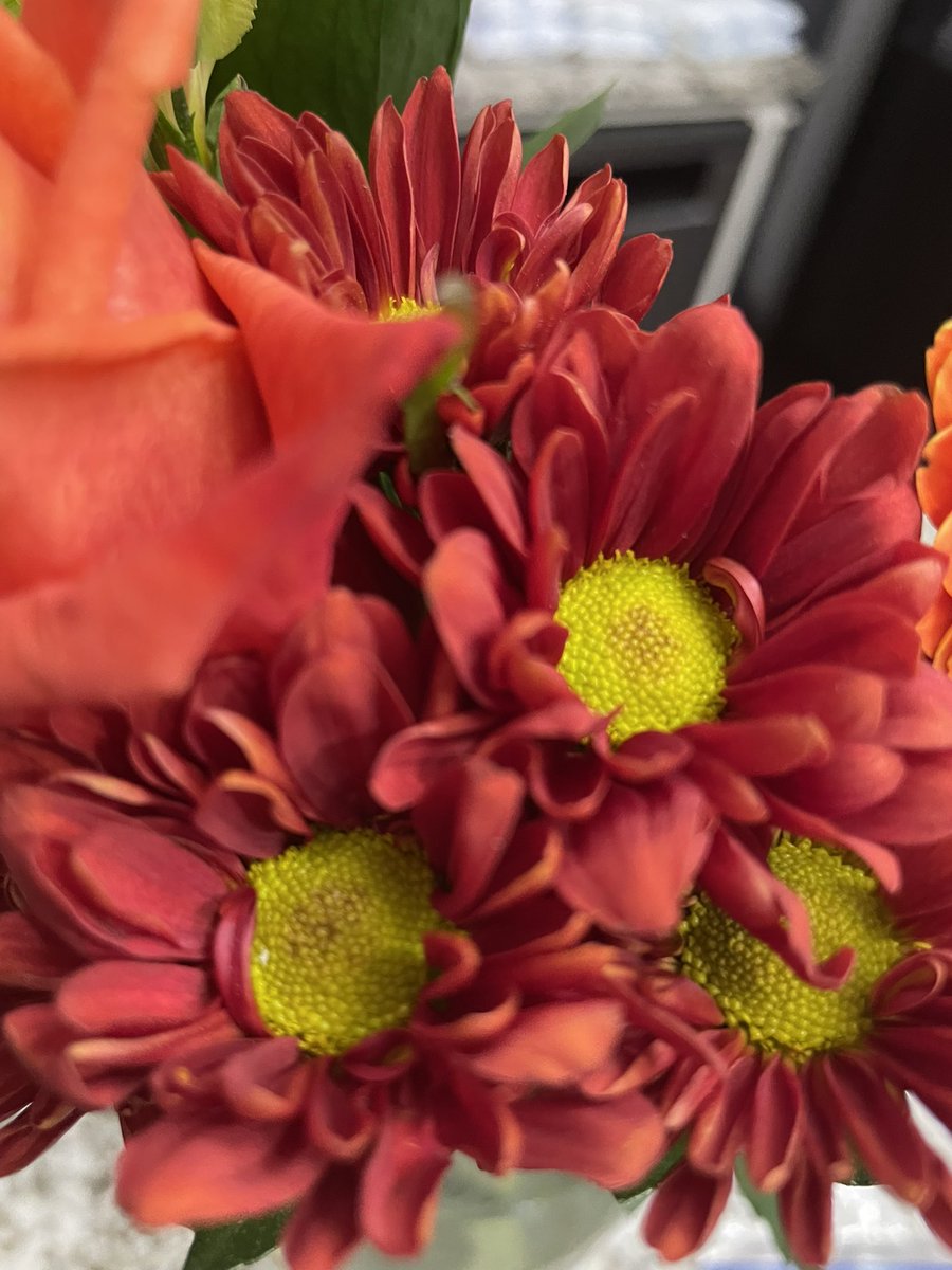 Jennife48140122's tweet image. Thanks for looking at items for my K- 2 academic autism.classroom 
 #Autism   #clearthelists 

 amazon.com/hz/wishlist/ls…