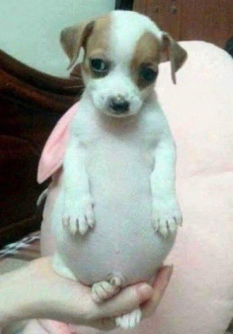 동글명 tweet media