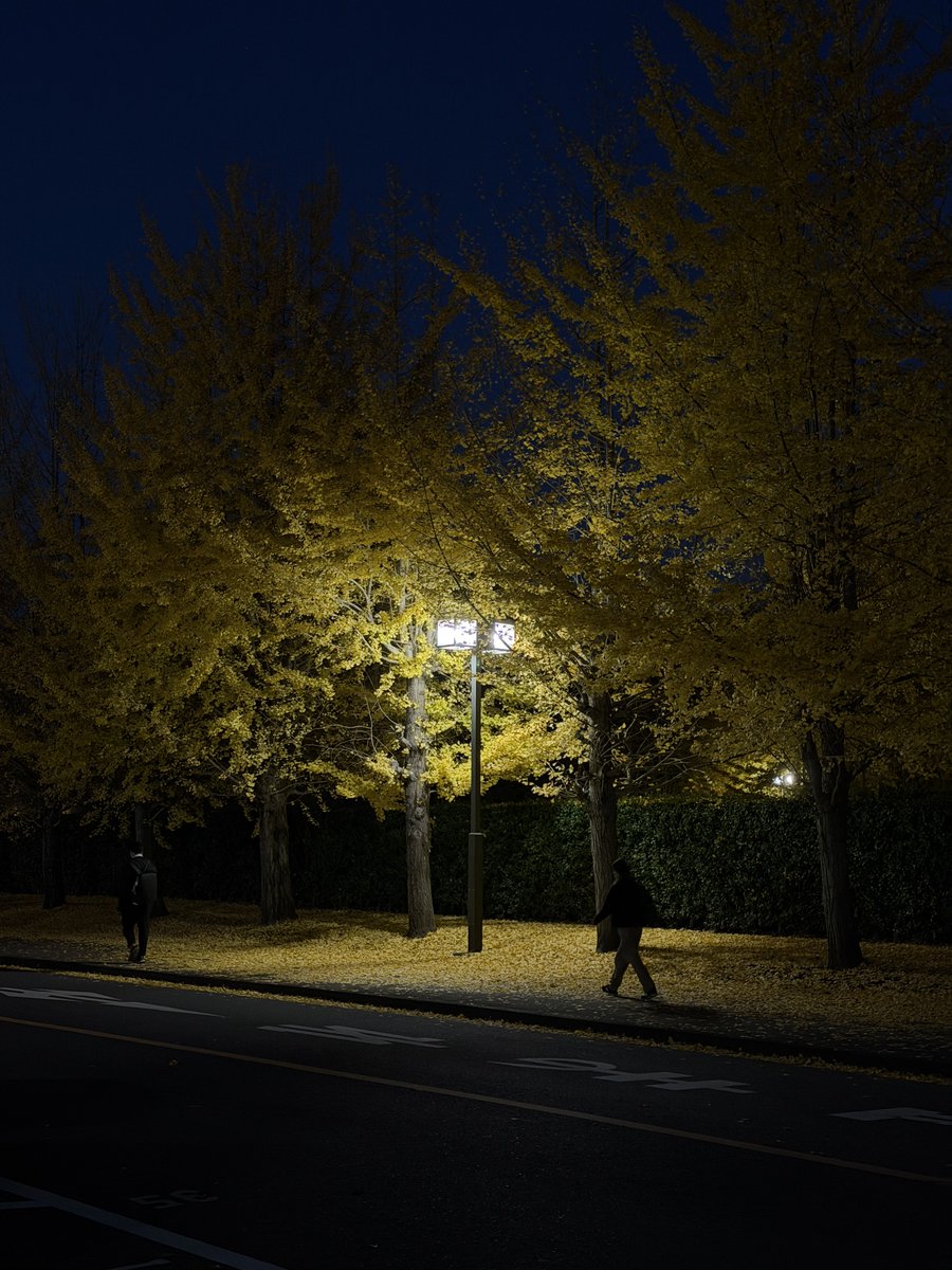 構内のイチョウも黄色く色づき美しい季節ですが、危惧していたインフルエンザが急上昇中です。経営の厳しさもありベッドの猶予が少ない病院が多く自治医大の救命救急センターも例外ではありません。ワクチン/マスク等工夫の余地はいろいろあります。可能な限りご自衛いただくようにお願いいたします。