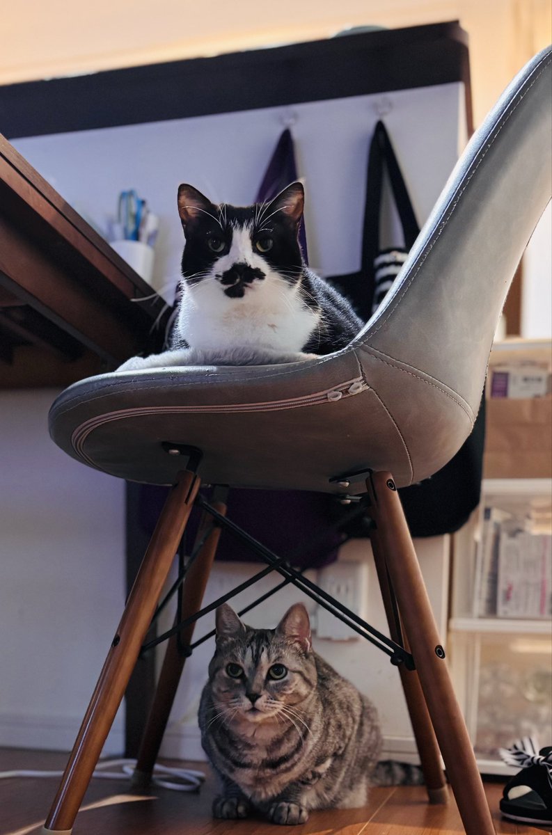 つむぐ tweet media