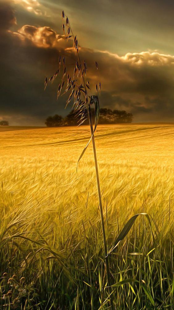 Una 
Stazione 
Senza treni 
Fermarsi

.....     ......      ....... 

Percettibile 
Tra la tua camera 
Dell'anima
