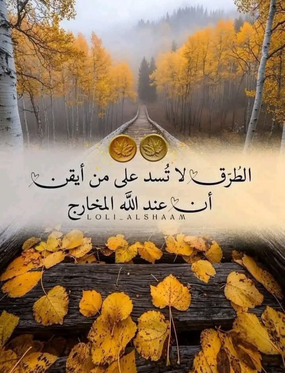 ياسر الدسوقى (@z1dstwcwddjcvjg) on Twitter photo 