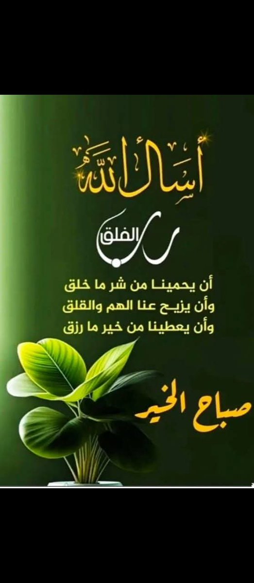 ياسر الدسوقى (@z1dstwcwddjcvjg) on Twitter photo 