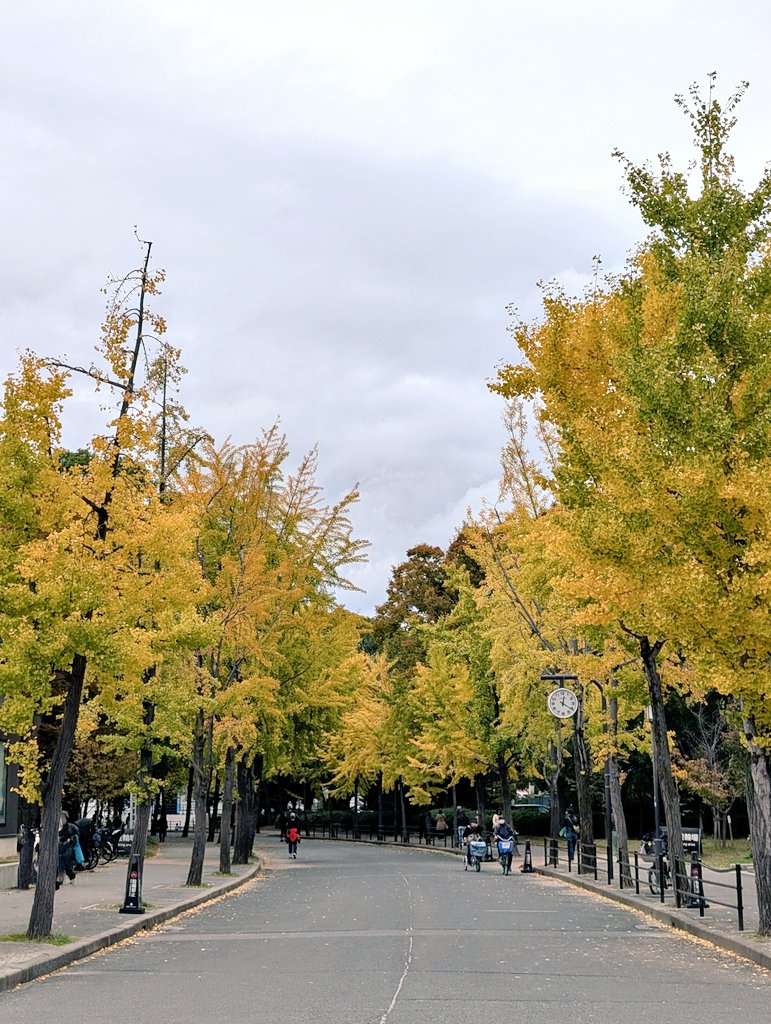 #大阪城
 #紅葉 と
 虹 !