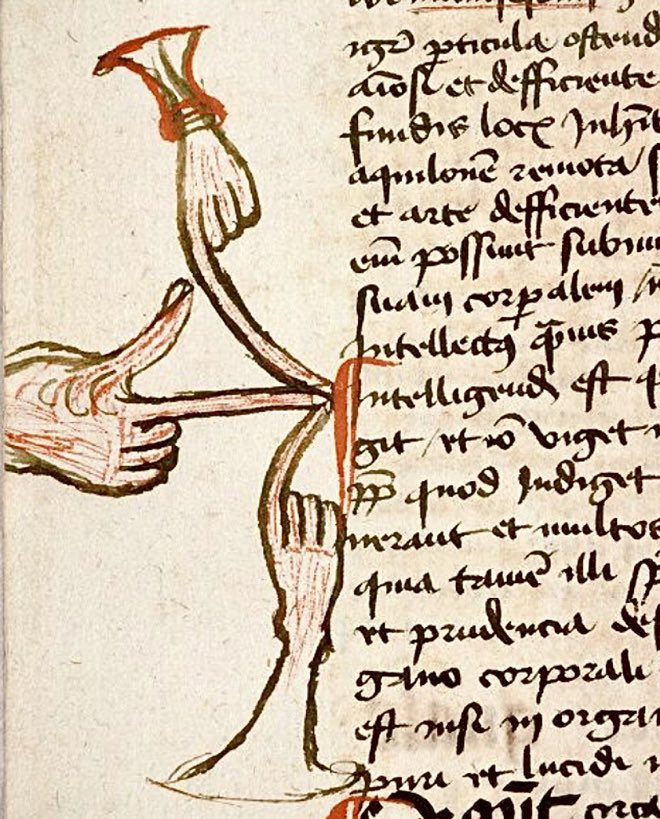 Medieval Military Medicine tweet media