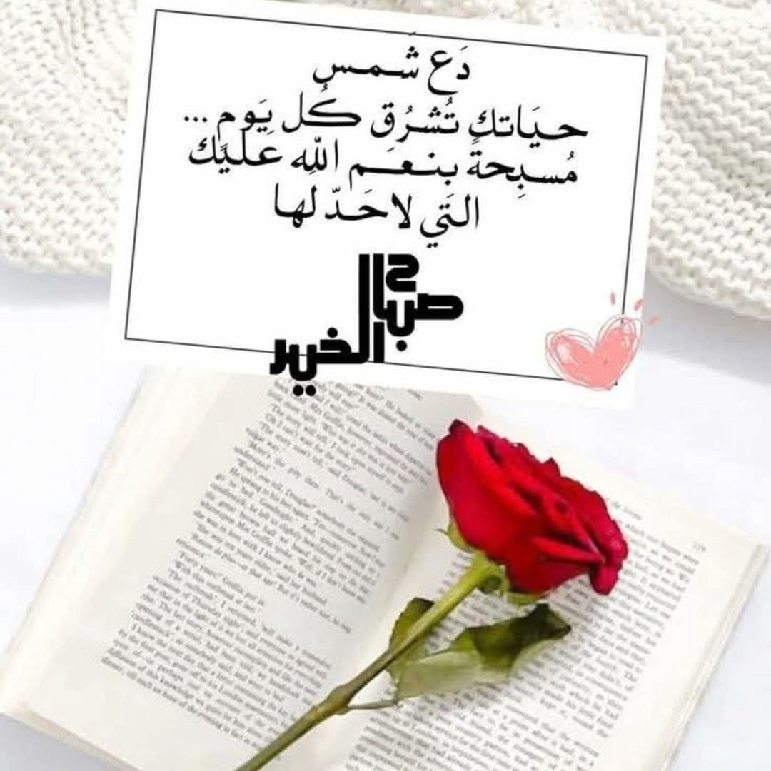 صباح الخير ♡︎

أتمنى أن تكون
كُل الطرقات
التي أسلكها
من اليوم ولآخر حياتي
آمِنة وصالحة لي
وأن يرضى اللّٰه عني دائمًا .
#صباح_الخير
#عطور_الاقلام