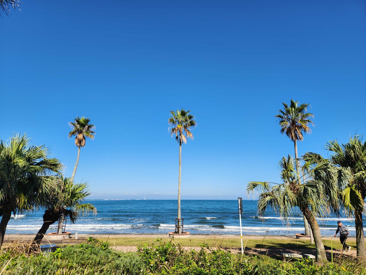 fw_bim's tweet image. 宮崎出張報告✈️✨

先日、弊社BIMサービスのご紹介で宮崎へ！
お客様との交流で、改めて熱意をいただきました😊

さらに！別件で
ワクワクする新プロジェクトがスタートしそうです！
皆さまにお届けできる日を楽しみにしています🎉
#BIM #Vectorworks #ベクターワークス #フローワークス